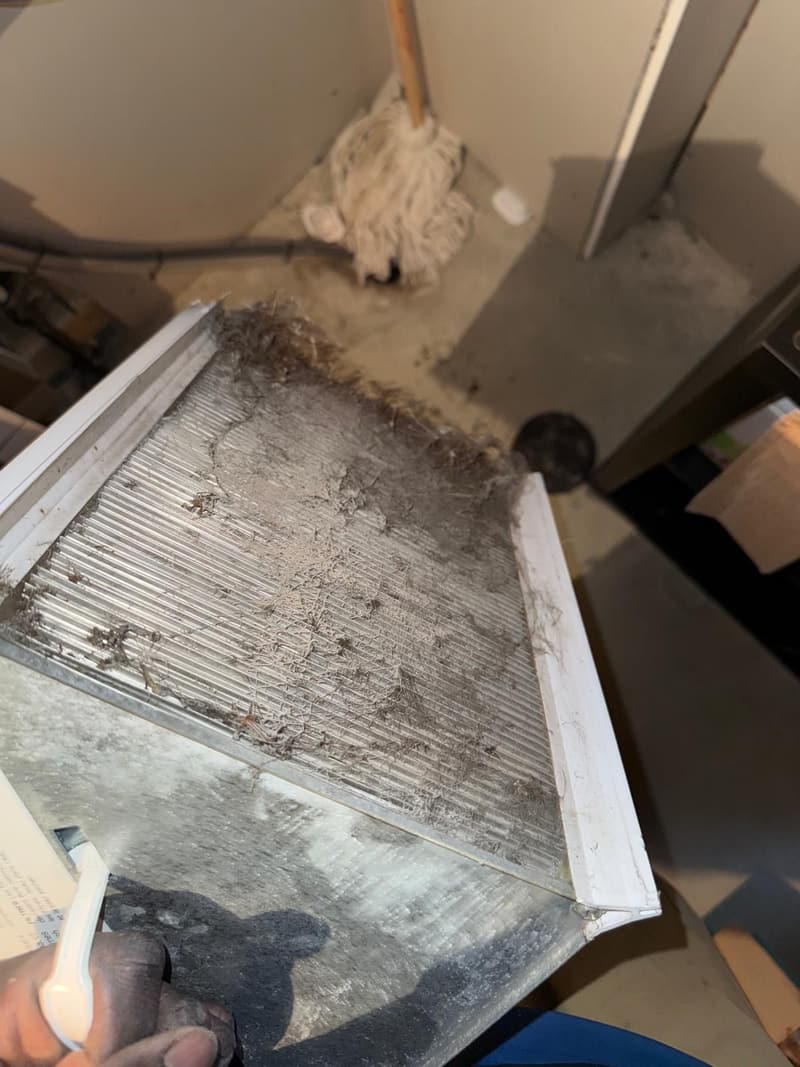Filtre en mousse retiré, fortement encrassé